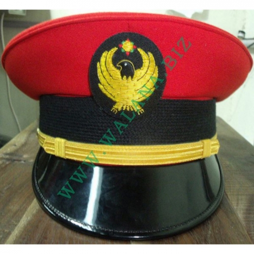 WO-586